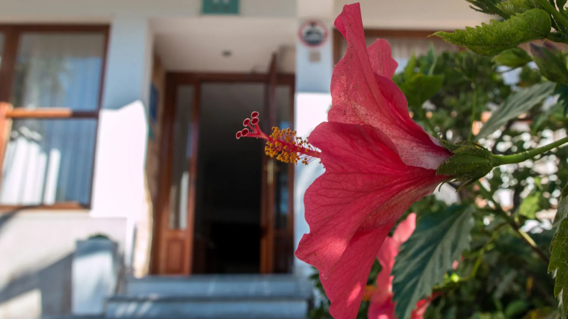 Hotel Santanyi Port  Cala Figuera (Mallorca)